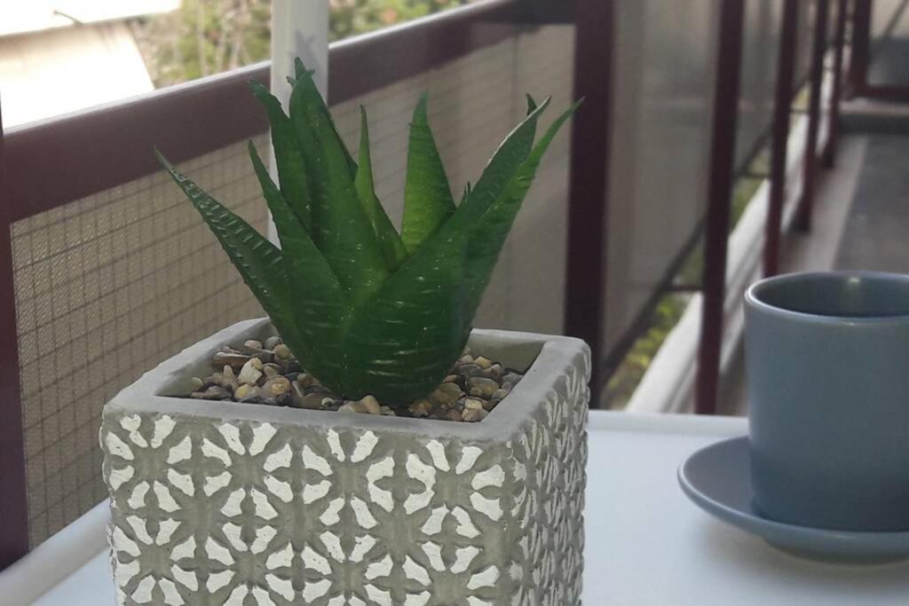 Elegant & Charming Apt. In The Hilton Area Leilighet Athen Eksteriør bilde